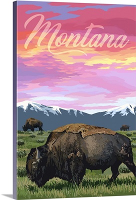 Montana - Bison & Sunset