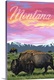 image thumbnail of Montana - Bison & Sunset
