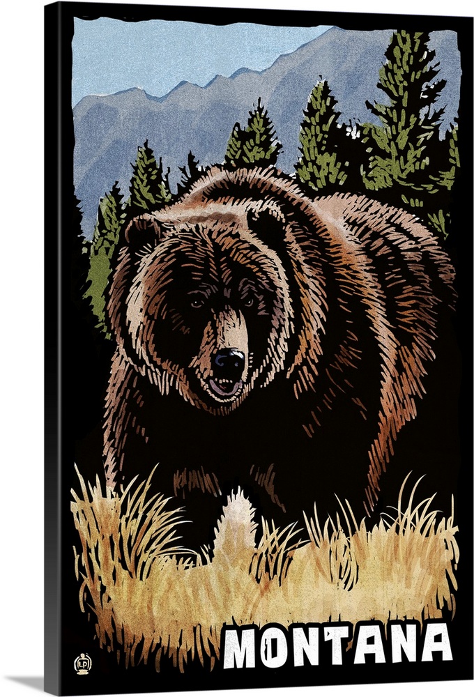 Montana, Grizzly Bear, Scratchboard