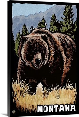 Montana, Grizzly Bear, Scratchboard