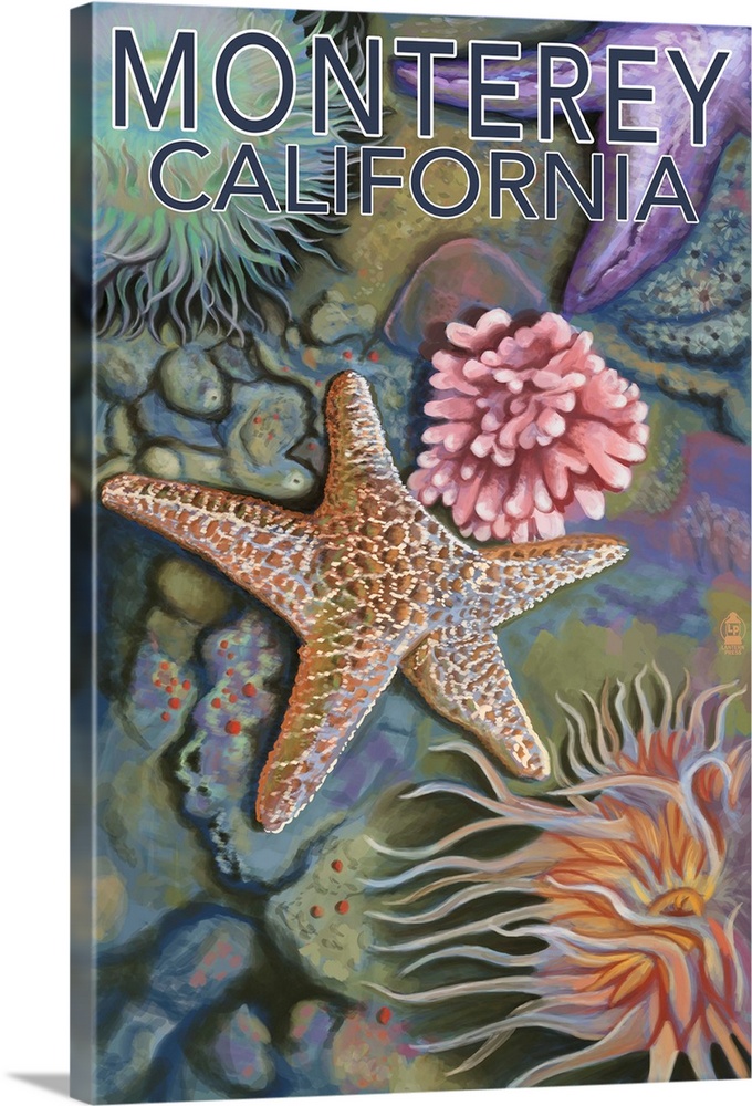 Retro stylized art poster of a starfish and various marine life in a tide pool.