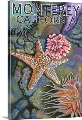 Monterey, California - Tidepool: Retro Travel Poster