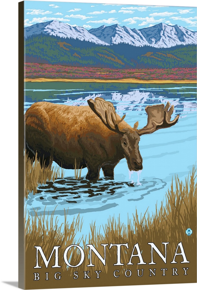 Moose Drinking at Lake - Montana: Retro Travel Poster