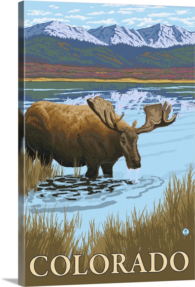 Moose Drinking - Colorado: Retro Travel Poster