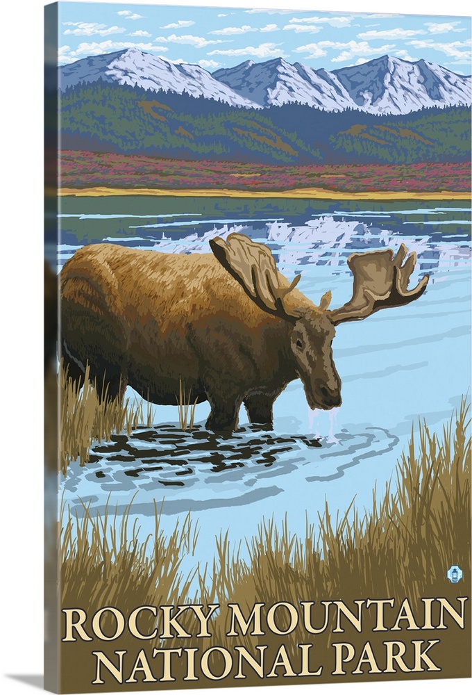 Moose Drinking - Rocky Mountain National Park: Retro Travel Poster