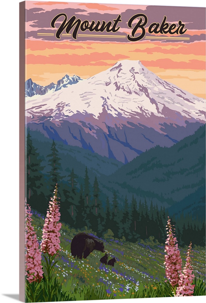 Mount Baker, Washington - Bears & Spring Flowers