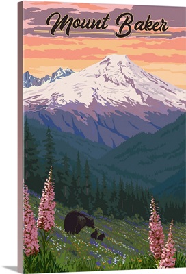 Mount Baker, Washington - Bears & Spring Flowers