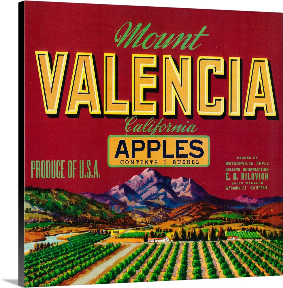 Mount Valencia Apple Label, Watsonville, CA
