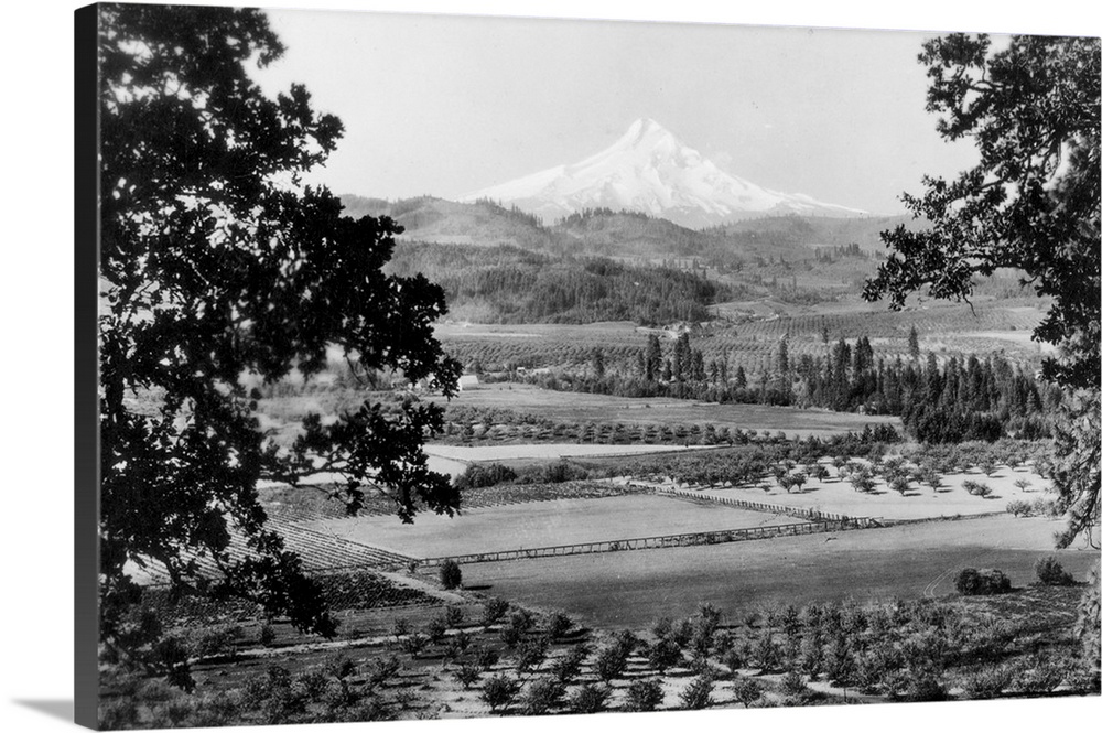 Mt. Hood from Hood River Valley, OR