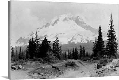 Mt. Hood, view from Government Camp, OR