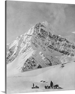 Mt. McKinley Dogsled Scene, Alaska