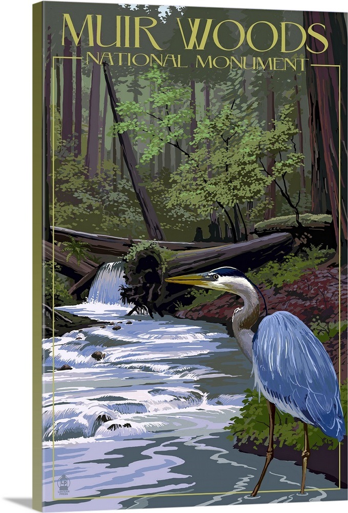 Muir Woods National Monument, California Blue Heron Retro Travel