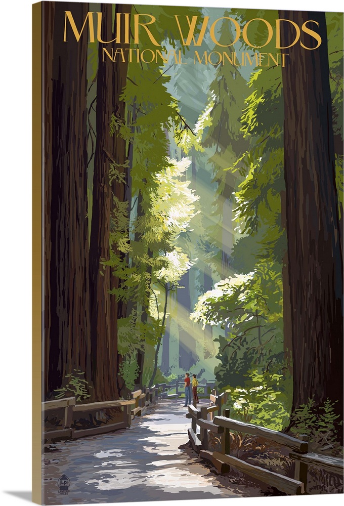 Muir Woods National Monument, California - Pathway: Retro Travel Poster