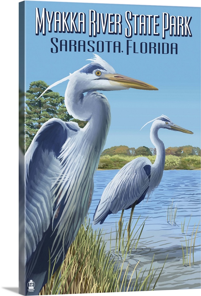 Myakka River State Park Sarasota, Florida - Blue Heron: Retro Travel Poster