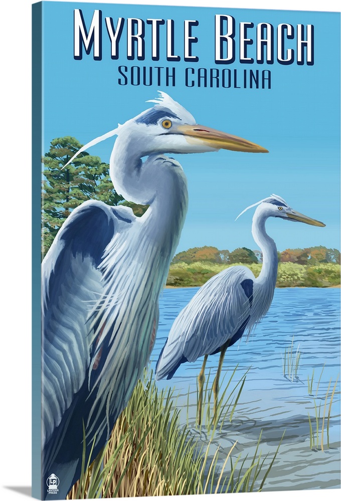 Myrtle Beach, South Carolina - Blue Herons: Retro Travel Poster