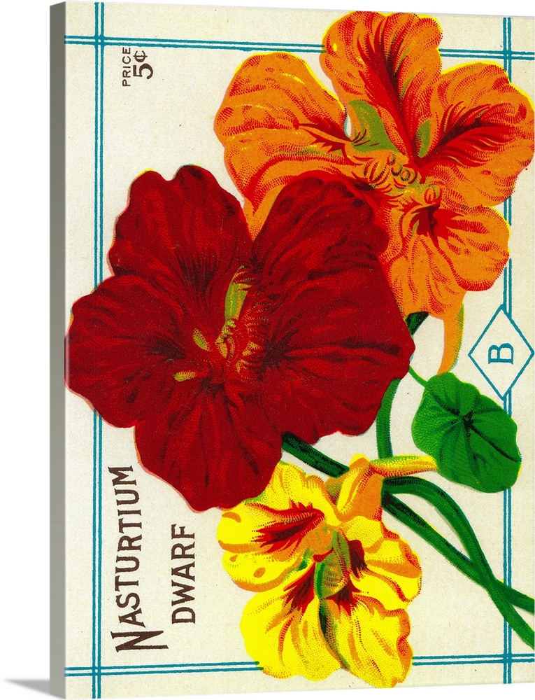 A vintage label from a seed packet for Nasturtiums.