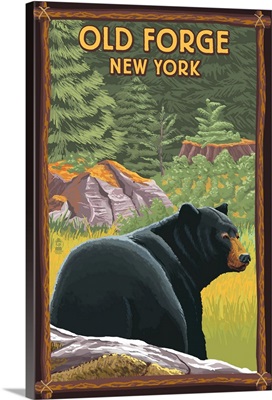 Old Forge, New York, Black Bear in Forest
