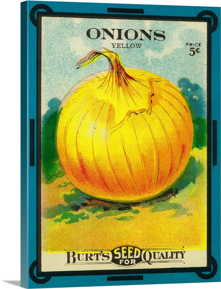A vintage label from a seed packet for onions.