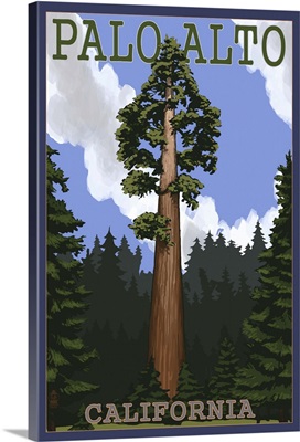 Palo Alto, California, California Redwoods
