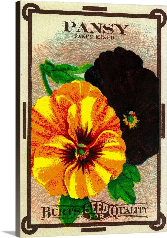 A vintage label from a seed packet for pansies.
