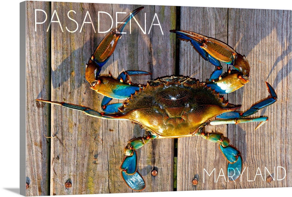 Pasadena, Maryland, Blue Crab on Dock