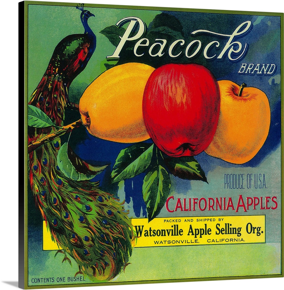 Peacock Apple Crate Label, Watsonville, CA