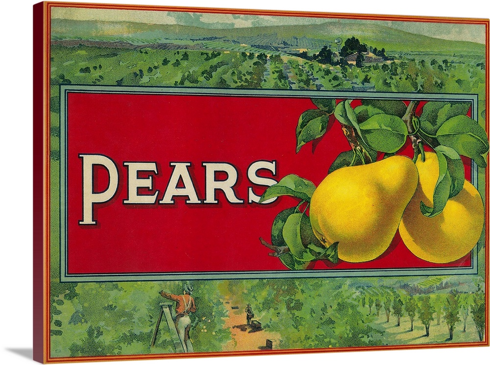 Pear Stock Crate Label