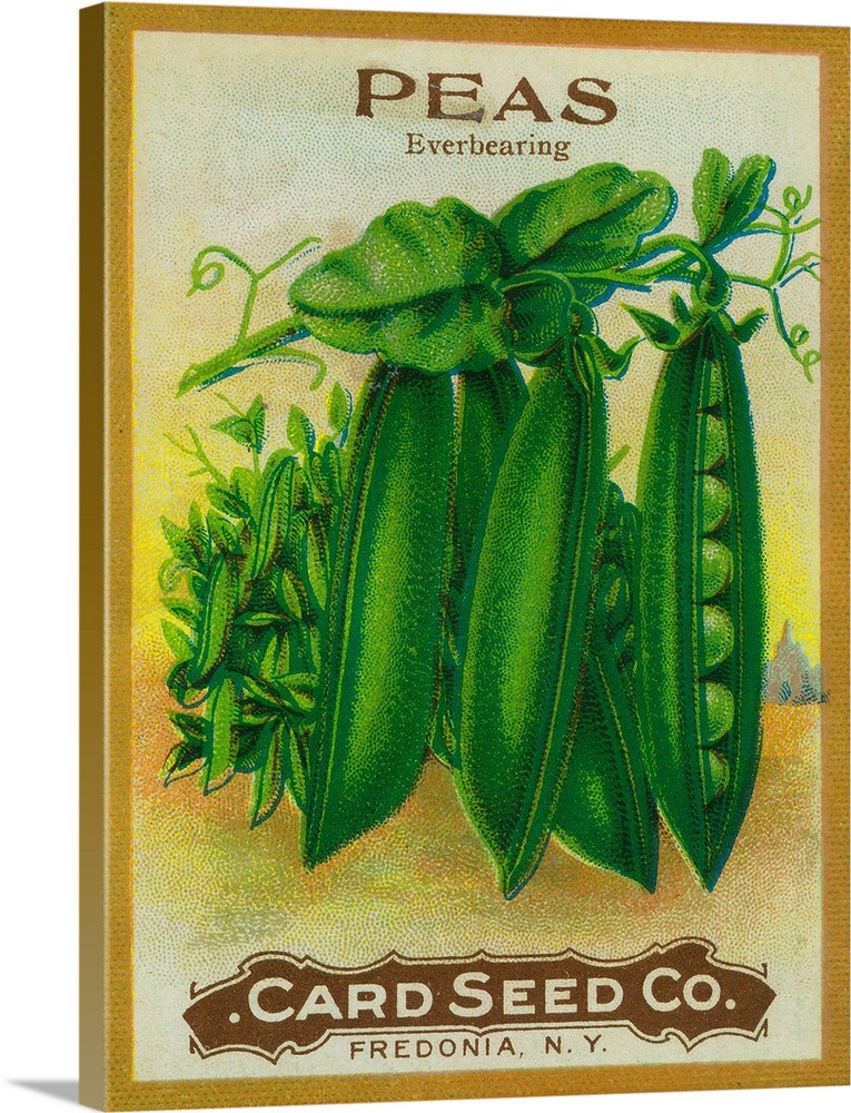 A vintage label from a seed packet for peas.