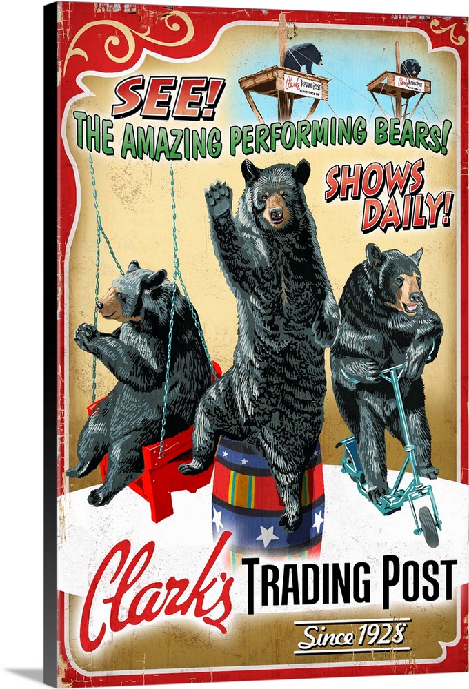 Performing Bears, Clark's Trading Post, Lincoln, New Hampshire