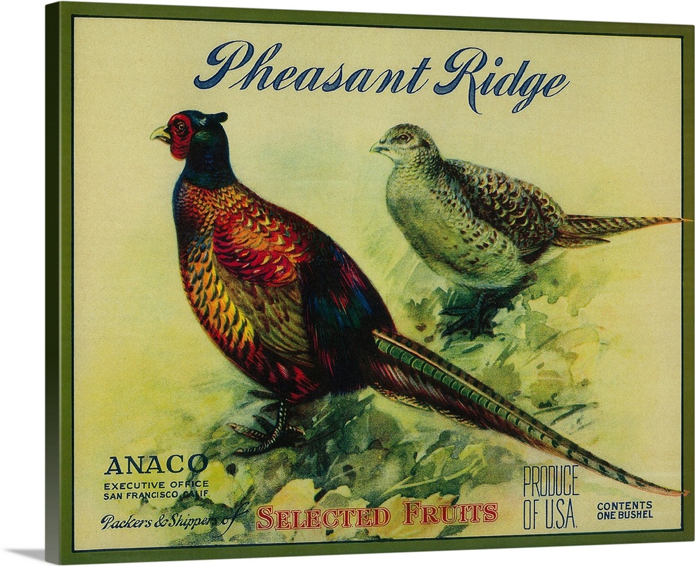 Pheasant Ridge Apple Crate Label, San Francisco, CA