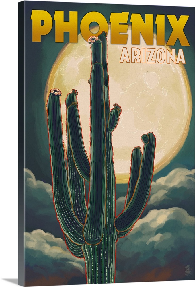 Phoenix, Arizona, Cactus and Full Moon