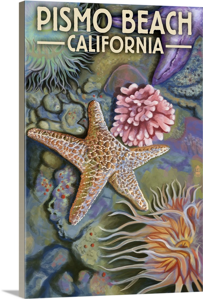 Retro stylized art poster of a starfish and various marine life in a tide pool.