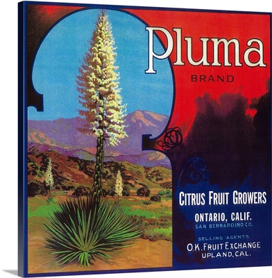 Pluma Orange Label, Upland, CA