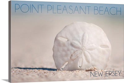 Point Pleasant Beach, New Jersey, Sand Dollar