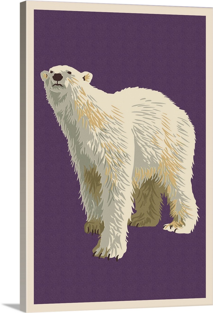 Polar Bear, Letterpress