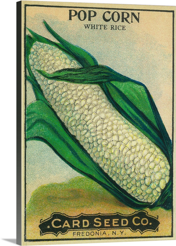 A vintage label from a seed packet for corn.