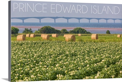 Prince Edward Island, Confederation Bridge and Hay Bales