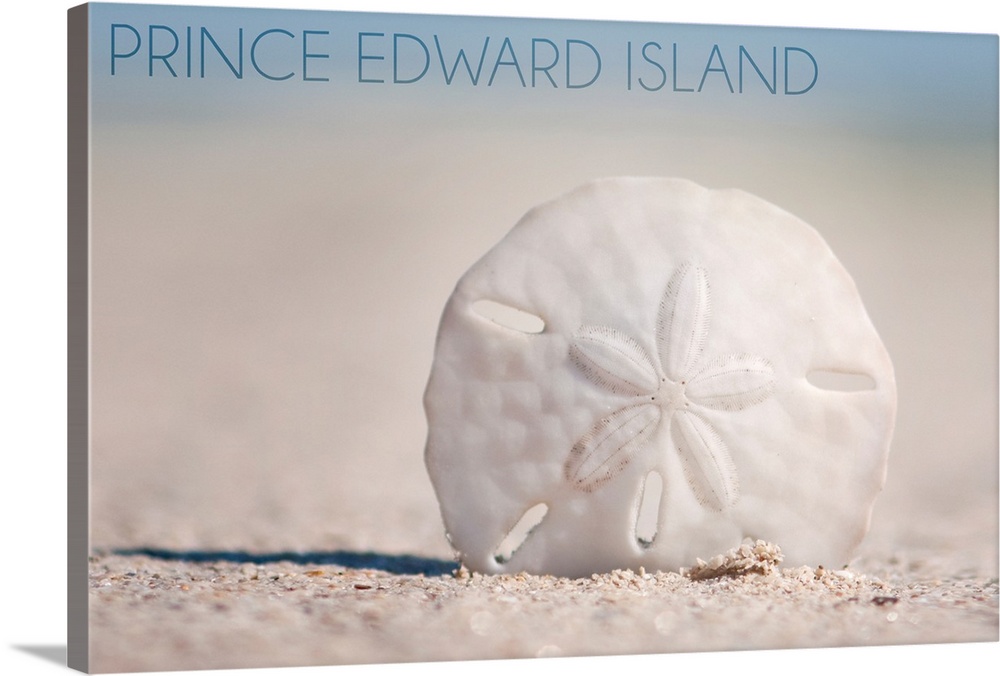 Prince Edward Island, Sand Dollar