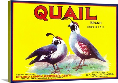 Quail Lemon Label, Upland, CA