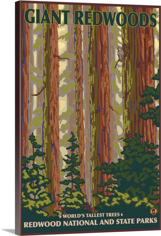 Redwood National Park, CA: Retro Travel Poster