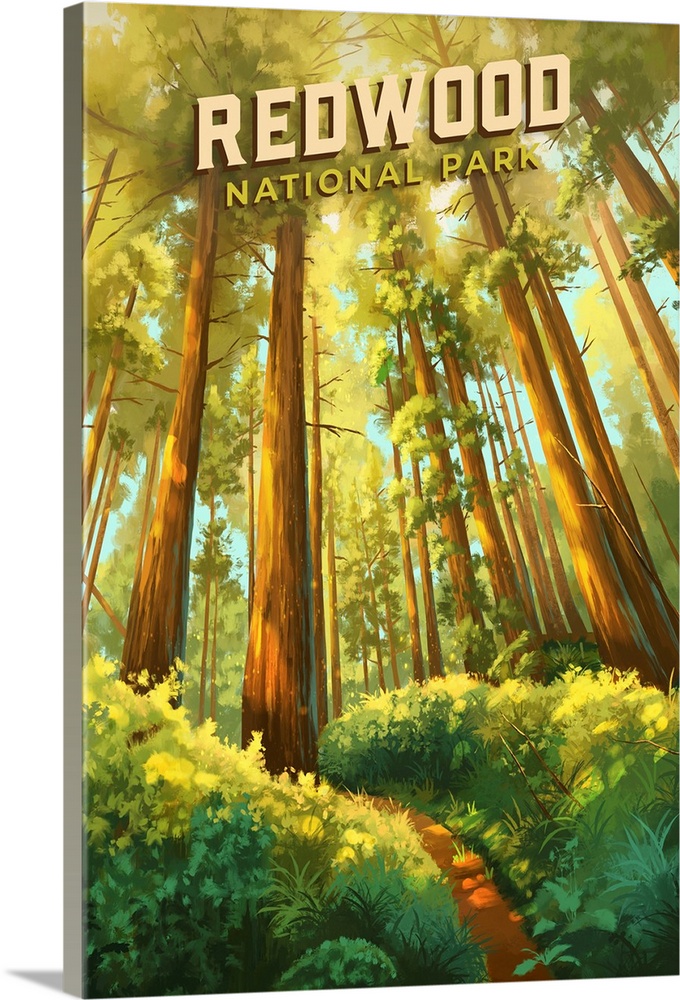 Redwood National Park, Forest: Retro Travel Poster