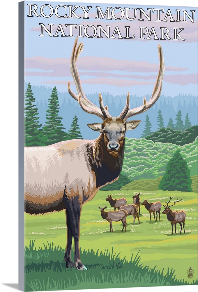 Rocky Mountain National Park, CO - Elk Herd: Retro Travel Poster