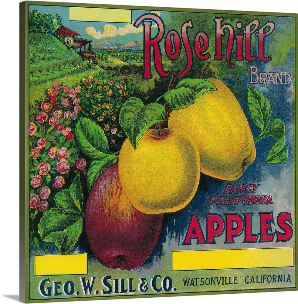 Rose Hill Apple Crate Label, Watsonville, CA