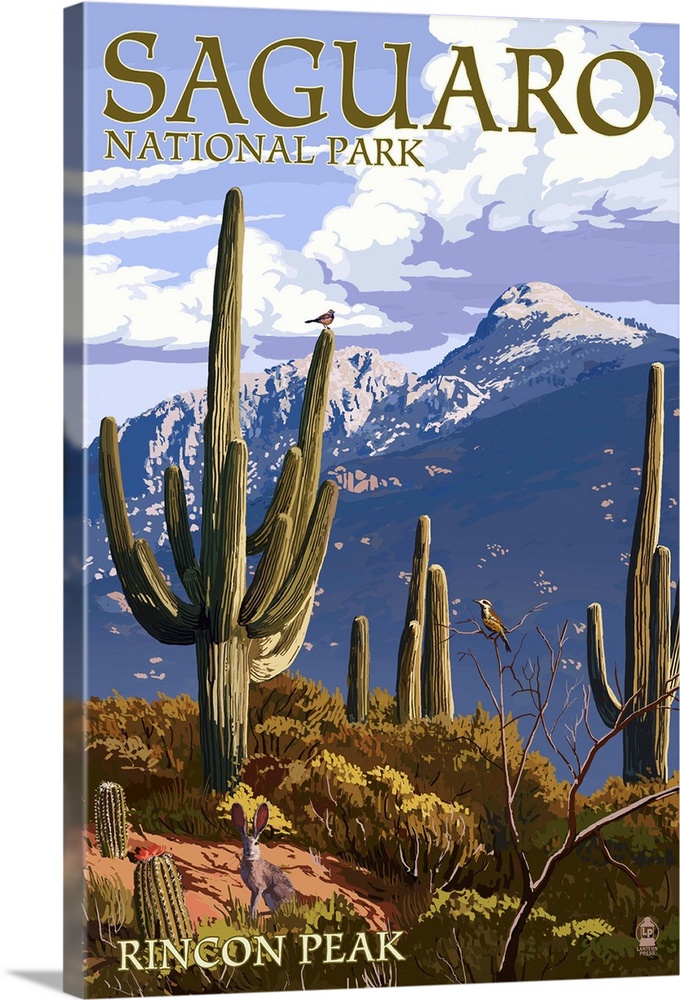 Saguaro National Park, Arizona - Rincon Peak: Retro Travel Poster