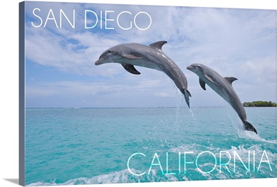 San Diego, California, Jumping Dolphins
