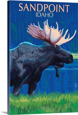 Sandpoint, Idaho, Moose at Night