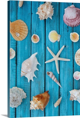 Seashells On Blue Wood