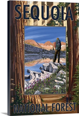Sequoia National Forest, CA Hiking Scene: Retro Travel Poster