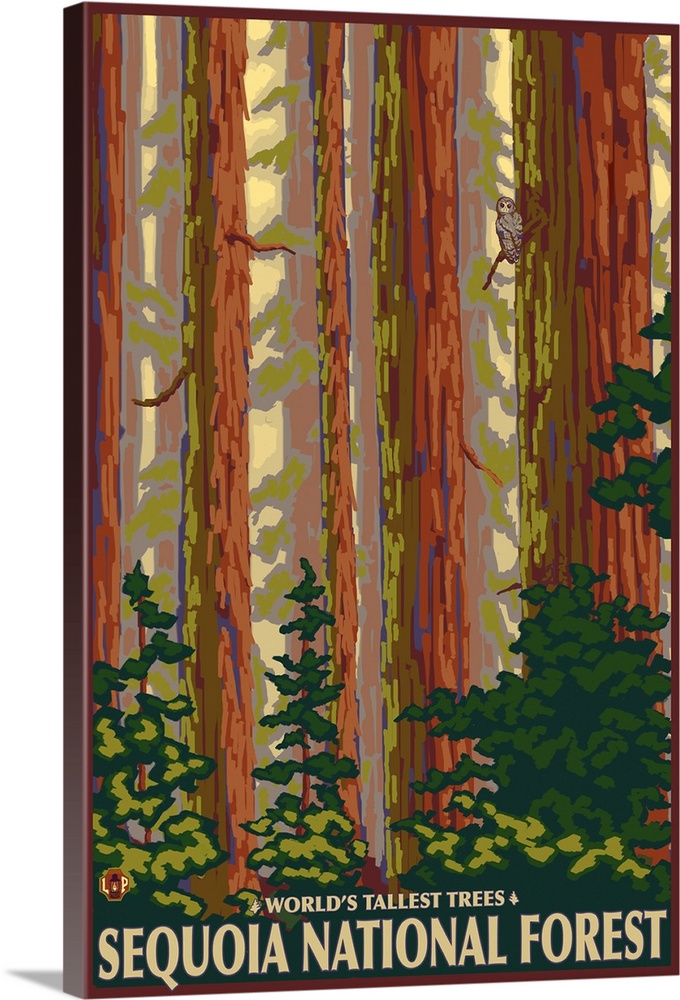 Sequoia National Forest, CA Redwood Trees: Retro Travel Poster