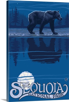 Sequoia National Park - Bear at Night: Retro Travel Poster